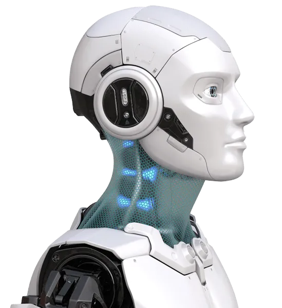 AI and machine learning data annotation
